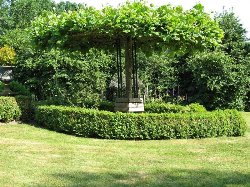 Westervelde Erfgoedlogies Bed And Breakfast 'T Olde Hof מראה חיצוני תמונה